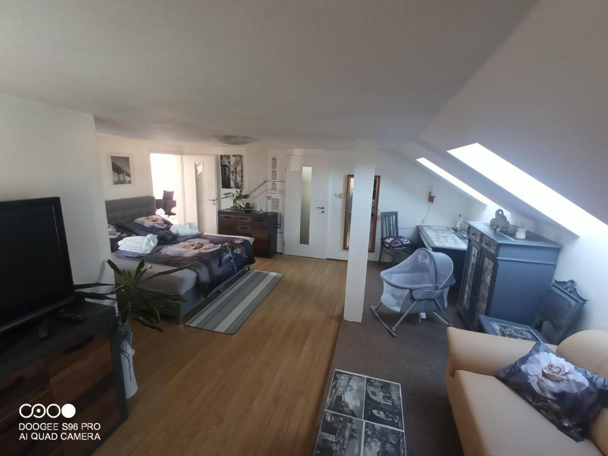 ルンブルクPodkrovni Apartman Terezaアパートメント エクステリア 写真