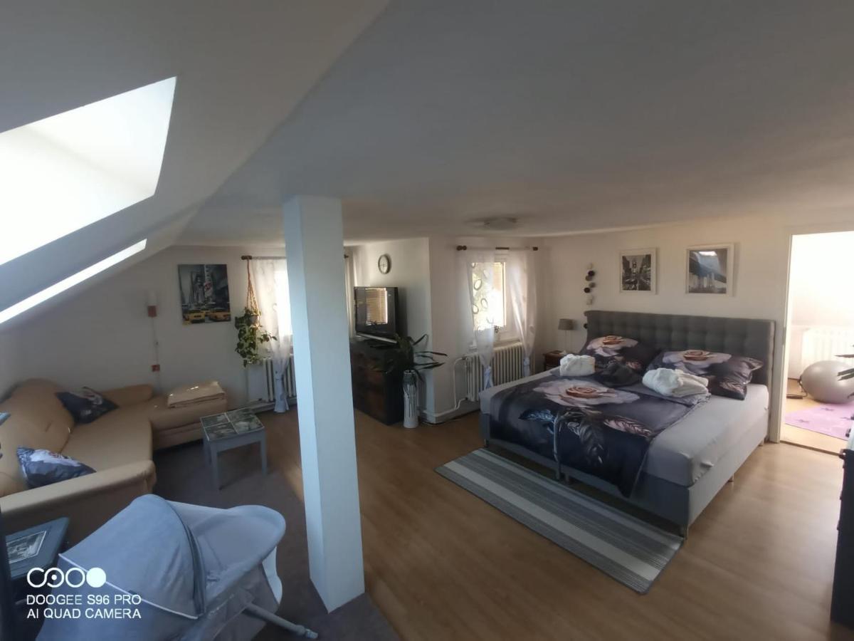 ルンブルクPodkrovni Apartman Terezaアパートメント エクステリア 写真